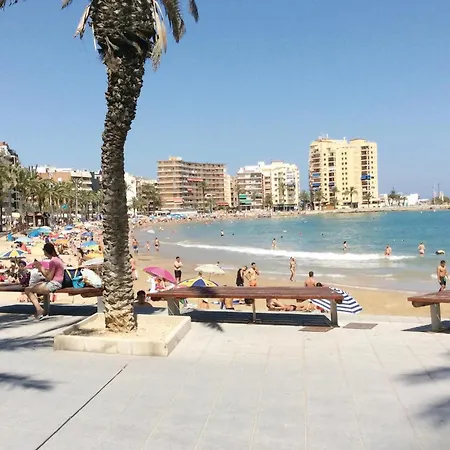 Stunning In With Wifi Torrevieja